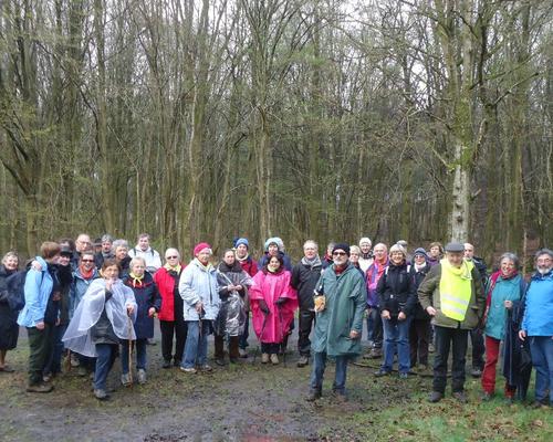 en foret de Mormal