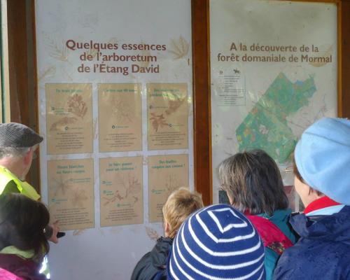 explication forestiere