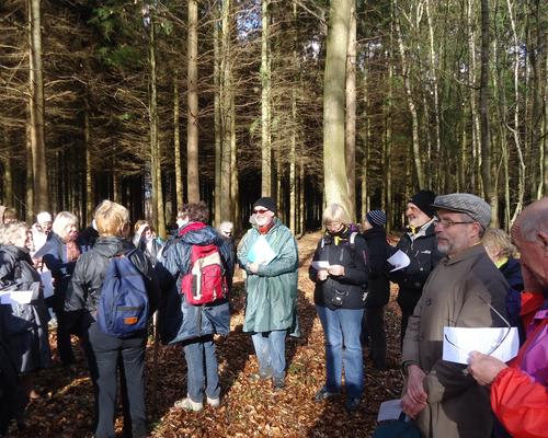 lecture en foret