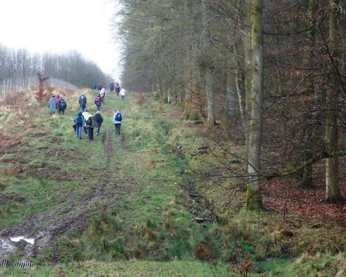 2 par 2 en foret