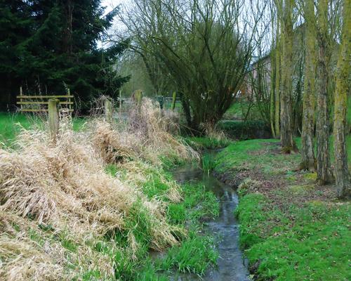 ruisseau à Hecq