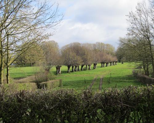 bocage entre Hecq et Preux