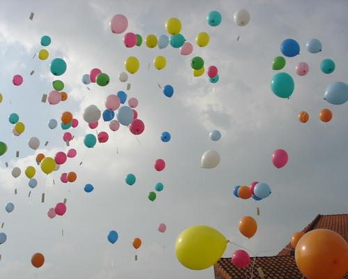 54 - Envol coloré