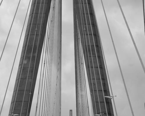 IMG_0899