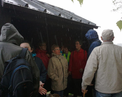 Bienvenues les cabanes d'observation des oiseaux au moment de la tempête !
