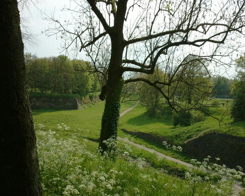 Dans les remparts de Condé