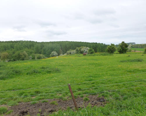 P1000859