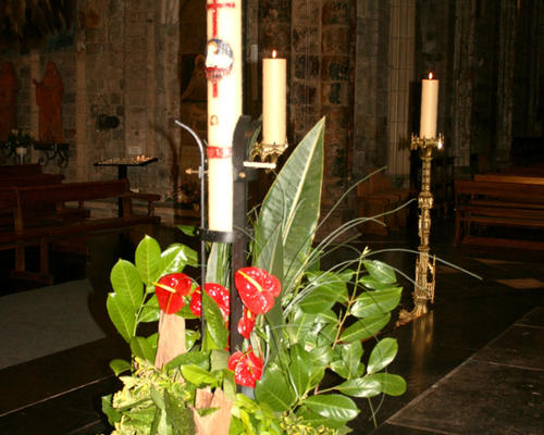 1406_IMG_5095B