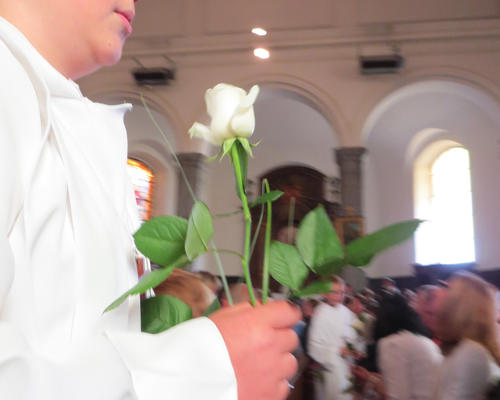 Une rose est portée par les communiants en guise de signe de paix... 