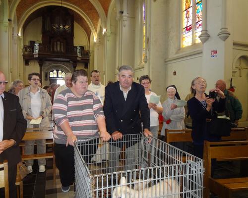 St Druon Bergers 2014 (22)