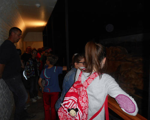 Images - Stald - Cate# au Fort Leveau - 2014-06 -