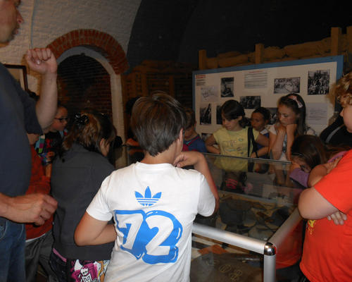 Images - Stald - Cate# au Fort Leveau - 2014-06 -