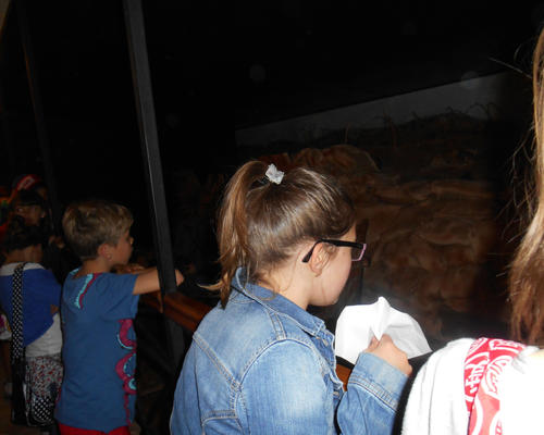 Images - Stald - Cate# au Fort Leveau - 2014-06 -
