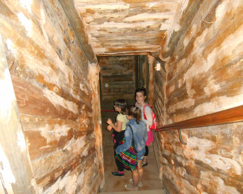 Images - Stald - Cate# au Fort Leveau - 2014-06 -