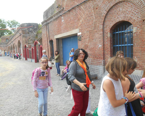 Images - Stald - Cate# au Fort Leveau - 2014-06 -