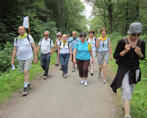 foret Marchiennes (2)