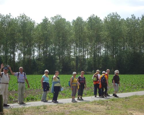 lisiere foret