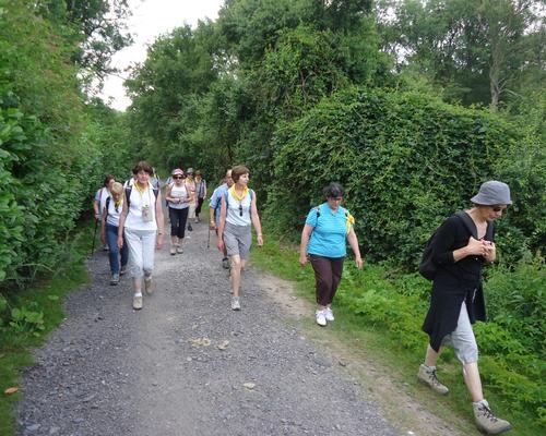 foret Marchiennes (1)