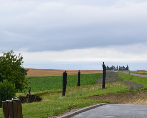 Images - Stald - Chemin des Dames - 2014-08-04 - 0