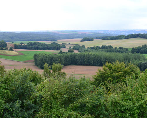 Images - Stald - Chemin des Dames - 2014-08-04 - 1