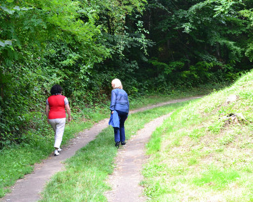 Images - Stald - Chemin des Dames - 2014-08-04 - 5