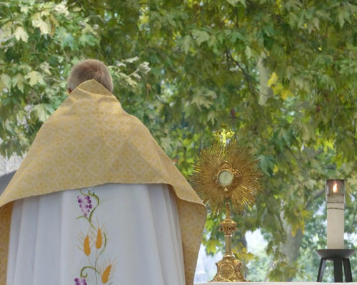 2014-08-20-lourdes -proc-SSacrement (42)