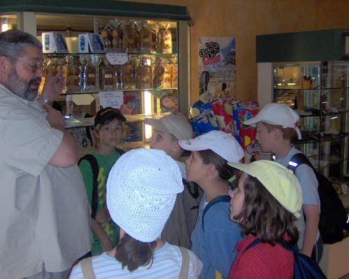 23 juillet 2006 (1)