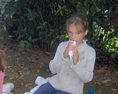 23 juillet 2006 (1)