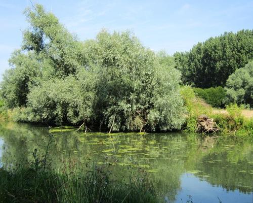 Marchiennes (8)