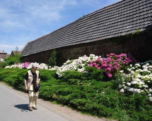 Marchiennes (5)
