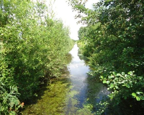 Marchiennes (2)