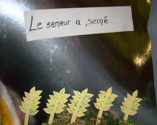 Temps spi des scouts sur l'évangile du semeur