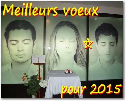 1412_IMG_Voeux2015