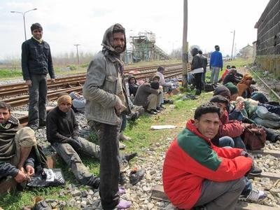 migrants