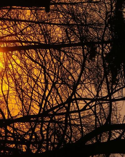 024- Lumieres du matin...