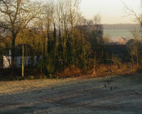 034- Au petit matin...