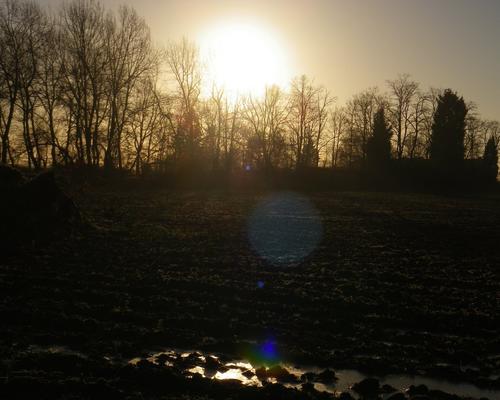 040- Au petit matin...