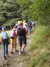 vers la bergerie