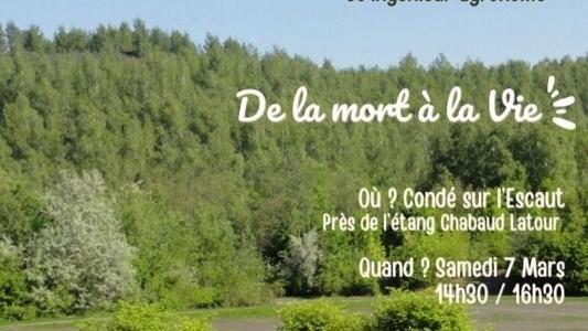 632671576_895934396415220_6787121710375130612_n