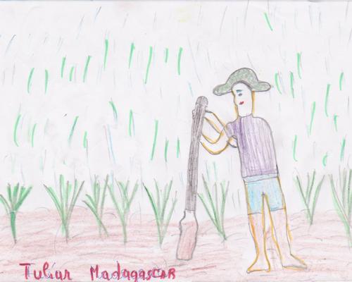 Madagascar-06