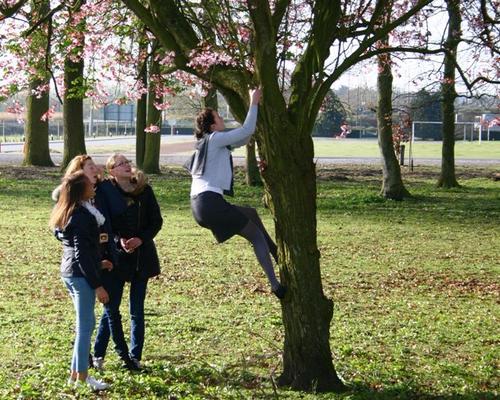 il faut bien chercher partout