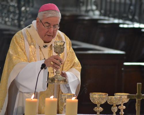carmelites2015 33