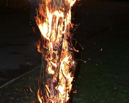 Images - Stald - Veille#e pascale 2015 - 20