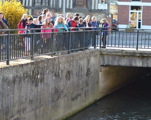 lisieuxmercredi 2015 4
