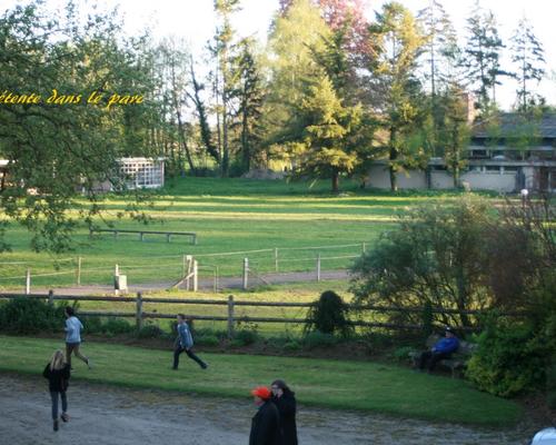 11.-. Le chateau