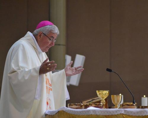 Lourdes2015-messeaccueil 13