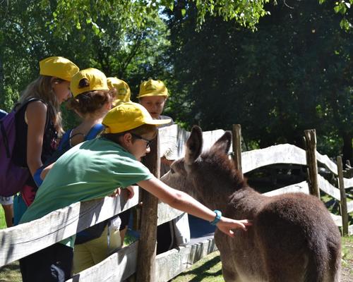 Lourdes2015_pele_enfants2108 19