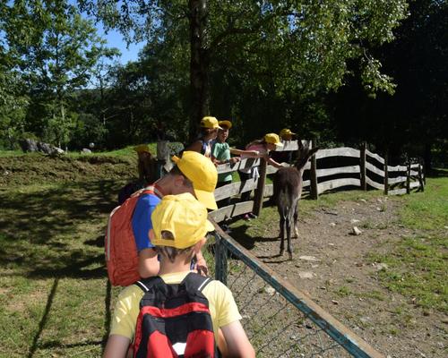 Lourdes2015_pele_enfants2108 21