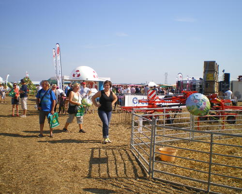 IMGP6854