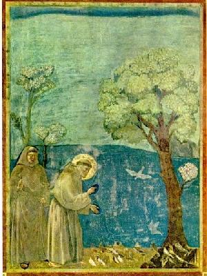 st François prêche aux oiseaux